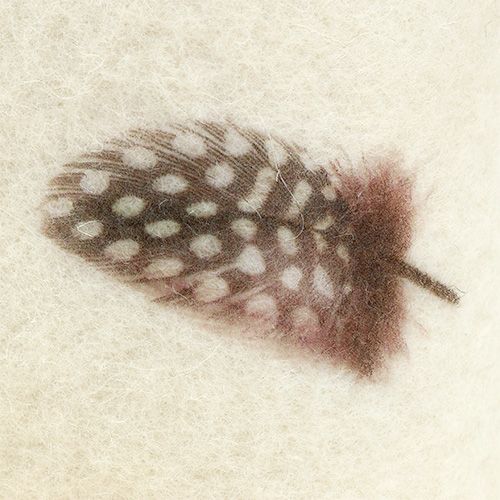 Floristik24 Veltinio juostelės kremas su rašto plunksna 15cm 2m