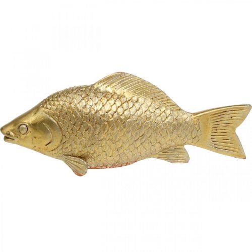 Floristik24 Dekoratyvinė žuvies aukso spalvos statula stovi žuvies skulptūra Polyresin Small L18cm