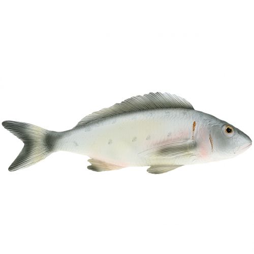 Dekoratyvinis ešeris L27,5cm