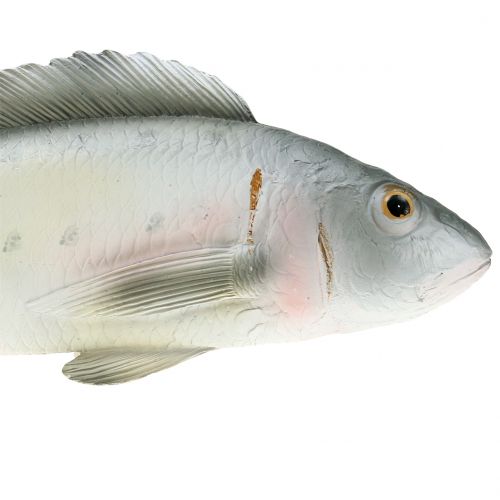 Floristik24 Dekoratyvinis ešeris L27,5cm