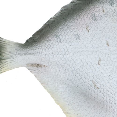 Floristik24 Deco žuvis L21cm