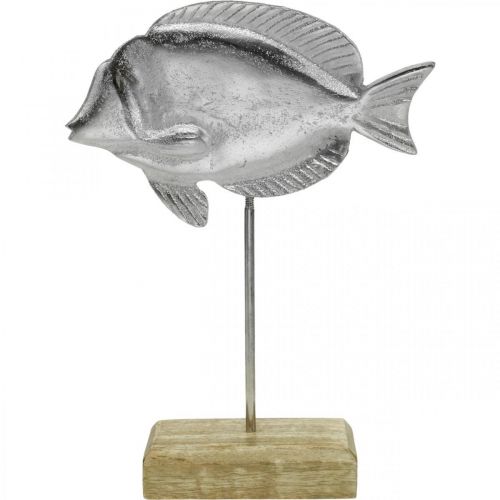 Floristik24 Žuvis dedama, jūrinė puošmena, dekoratyvinė žuvytė iš metalo sidabro, natūralios spalvos H23cm