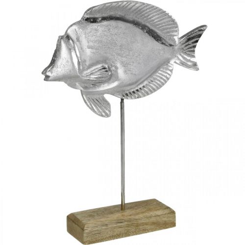 Dekoratyvinė žuvytė, jūrinė puošmena, žuvytė iš sidabrinio metalo, natūrali spalva H28,5cm