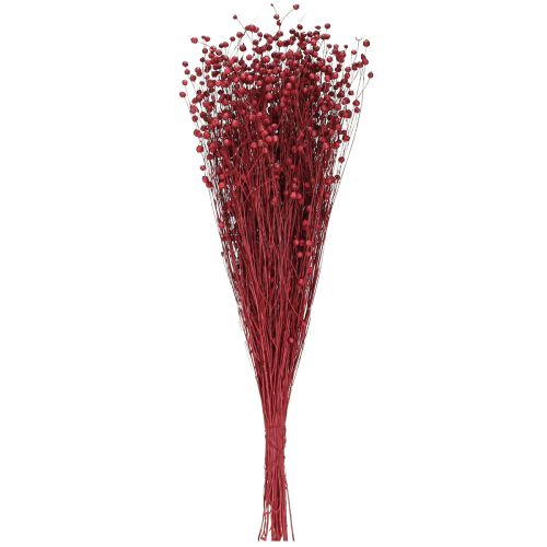 daiktų Linų sėmenų Bordo raudonumo džiovintos dekoracijos džiovintos gėlės I55cm 80g