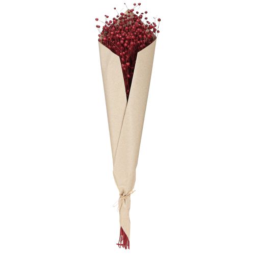 daiktų Linų sėmenų Bordo raudonumo džiovintos dekoracijos džiovintos gėlės I55cm 80g