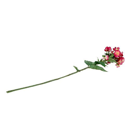 Floristik24 Liepsnos gėlė rožinė 72cm