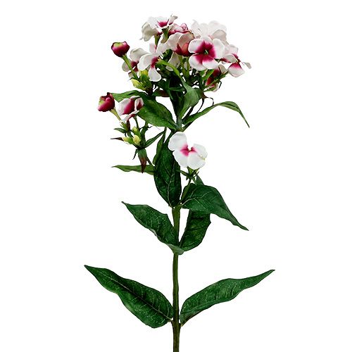 Floristik24 Liepsnos gėlė balta 72cm