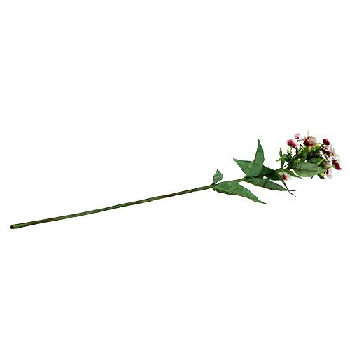 Floristik24 Liepsnos gėlė balta 72cm