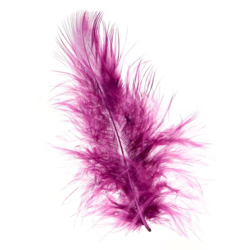 daiktų Pūkuotos dekoratyvinės bordo plunksnos rankdarbiams 5-10cm 20g