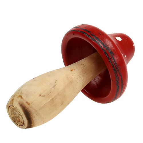 Floristik24 Rupūžio žiobris iš medžio 21cm