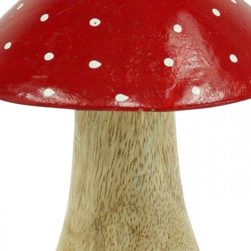 Floristik24 Musmirė deko medinis grybas rudens puošmena mediena 11,5×Ø10cm