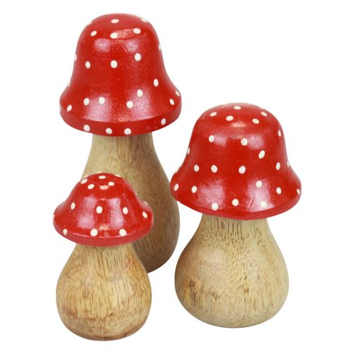 daiktų Musmirės dekoratyviniai grybai mediniai grybai rudens puošmena H6/8/10cm rinkinyje 3 vnt