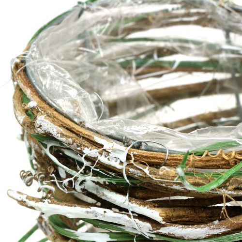 Floristik24 Gluosnio augalas gausybės ragas H20cm