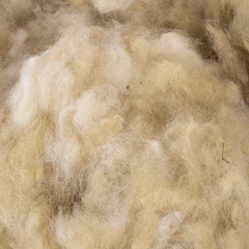 Natūrali smėlio spalvos avių vilna, laisva, rankdarbiams ir dekoravimui, 250 g | Floristik24.lt