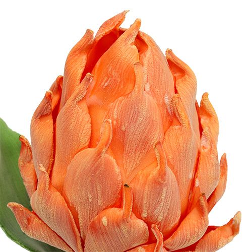 Floristik24 Putplasčio artišoko apelsinas 14cm L28cm 1vnt