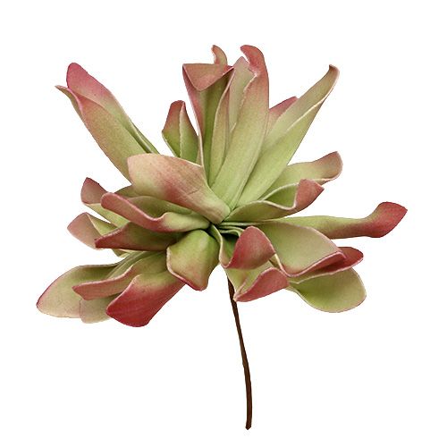 Floristik24 Putplasčio gėlė Ø12cm žalia / raudona 6vnt