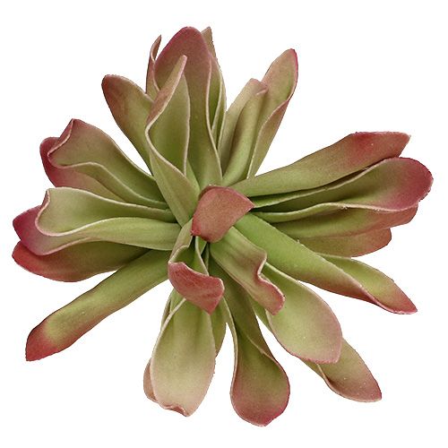 Floristik24 Putplasčio gėlė Ø12cm žalia / raudona 6vnt