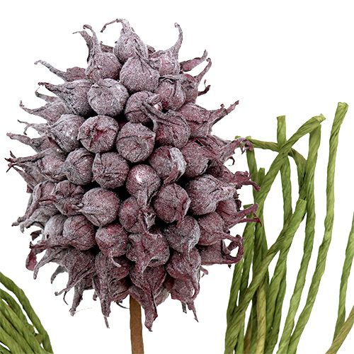 Floristik24 Putplasčio žiedų dirbtinės gėlės alyvinė L65cm