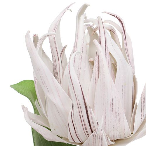 Floristik24 Putplasčio gėlė balta, violetinė 12cm L30cm 1vnt