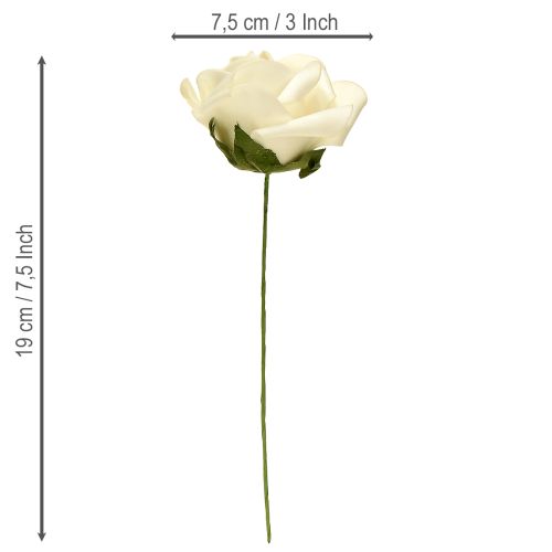 daiktų Putplasčio rožės su stiebo žiedais, putplasčio kreminės spalvos, Ø7,5 cm, 18 vnt.
