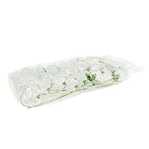 daiktų Foam Rose Ø4,5cm balta 36 vnt