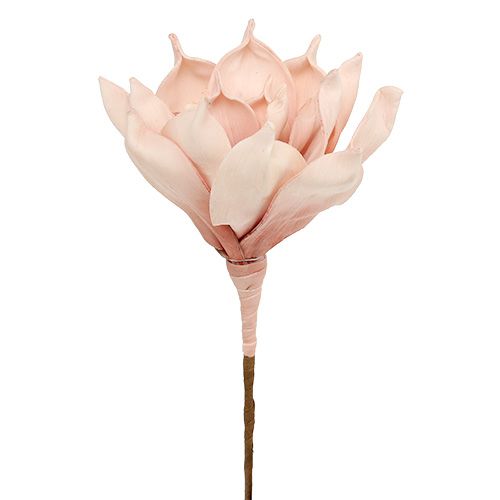 Floristik24 Putplasčio gėlė magnolijos rožinė Ø15cm L65cm