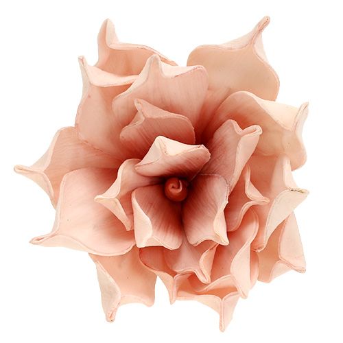daiktų Putplasčio gėlė magnolijos rožinė Ø15cm L65cm