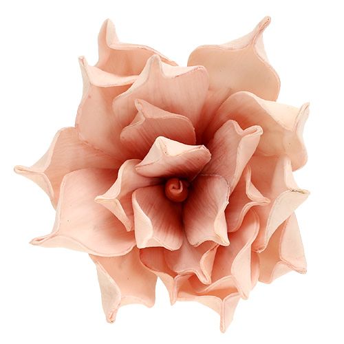 Floristik24 Putplasčio gėlė magnolijos rožinė Ø15cm L65cm