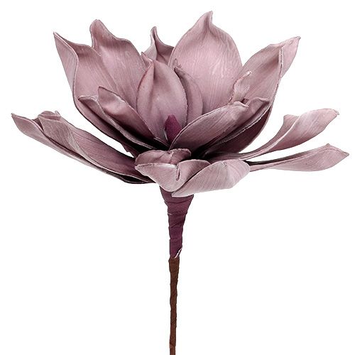 Floristik24 Putplasčio žiedas Magnolia Berry Ø15cm L67cm