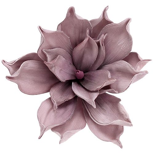 Floristik24 Putplasčio žiedas Magnolia Berry Ø15cm L67cm