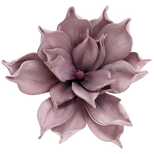 daiktų Putplasčio žiedas Magnolia Berry Ø15cm L67cm