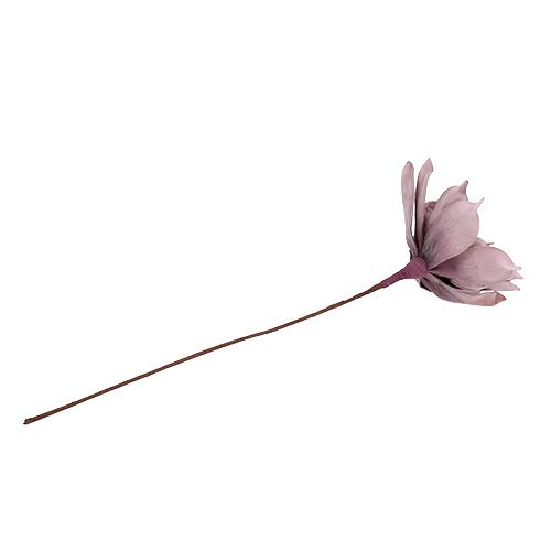 Floristik24 Putplasčio žiedas Magnolia Berry Ø15cm L67cm