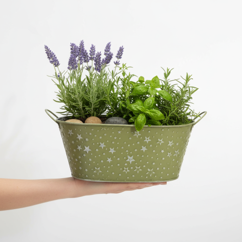 daiktų Ovalus metalinis dubuo su žvaigždutėmis ir rankenėlėmis, žalias, 31 × 16 cm, aukštis 12,5 cm