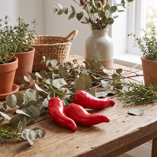 Raudonųjų čili pipirų maisto manekenas 9 cm ant šakos | Floristik24.lt
