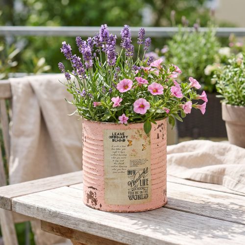 Gėlių vazonas, dekoratyvinis lašišos formos metalinis, vasariškas dekoravimas, Ø11cm, aukštis10.5cm | Floristik24.lt