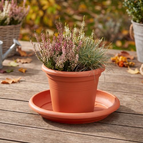 Padėkliukas “Linda” Ø30cm terakotinis | Floristik24.lt