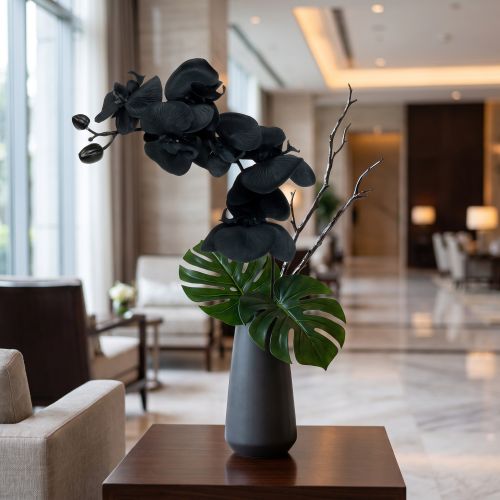 Orchidėja papuošti Juoda 54cm | Floristik24.lt