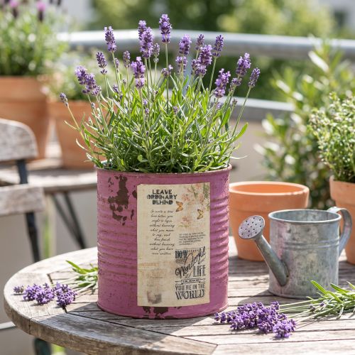 Vintažinė vazono dekoratyvinė dėžutė violetinė metalinė vasarinė dekoracija Ø11cm A10.5cm | Floristik24.lt