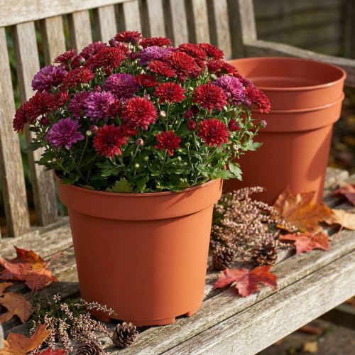 Augalų vazonas plastikinis Ø23cm 10vnt | Floristik24.lt