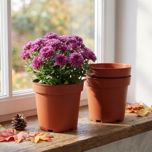 Augalų vazonas plastikinis Ø17cm 10vnt | Floristik24.lt