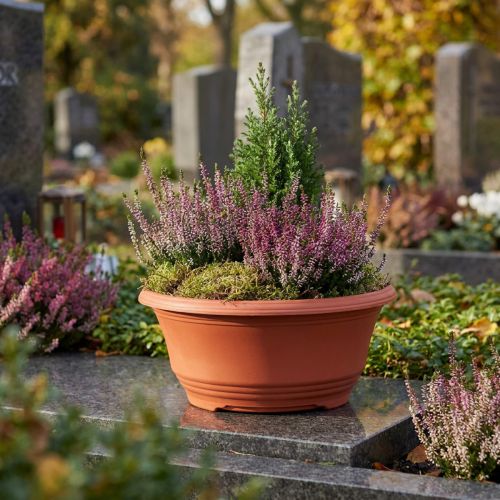 Plastikiniai augalų vazonai Ø20cm, gėlių vazonai terakotos spalvos, 5 vnt. | Floristik24.lt