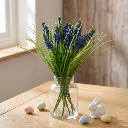 Vynuogių hiacintai 28cm - 30cm Mėlyna 15 vnt | Floristik24.lt