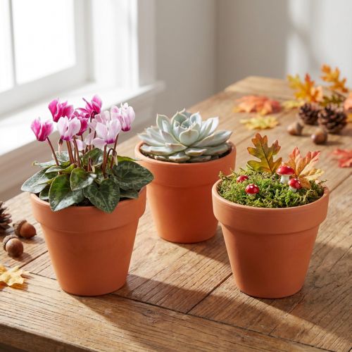 Gėlių vazonas molis Ø6cm aukštis 5cm 10vnt | Floristik24.lt