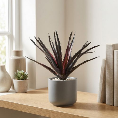 daiktų Aloe Vera dirbtinė violetinė 26cm