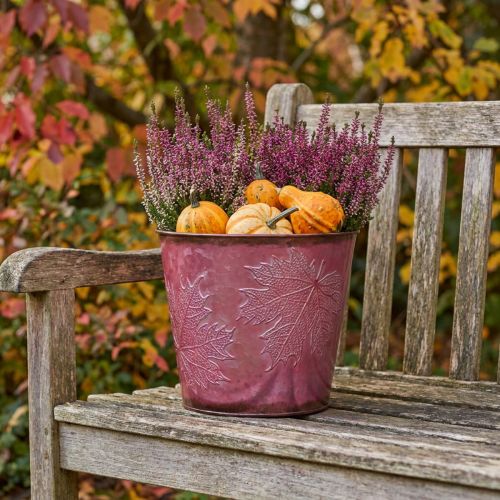 Sėjamoji, metalinis kibiras su lapeliais, rudens puošmena vyno raudona Ø18cm H17cm | Floristik24.lt
