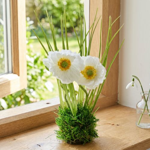 Aguonos baltos žolėje 23cm | Floristik24.lt