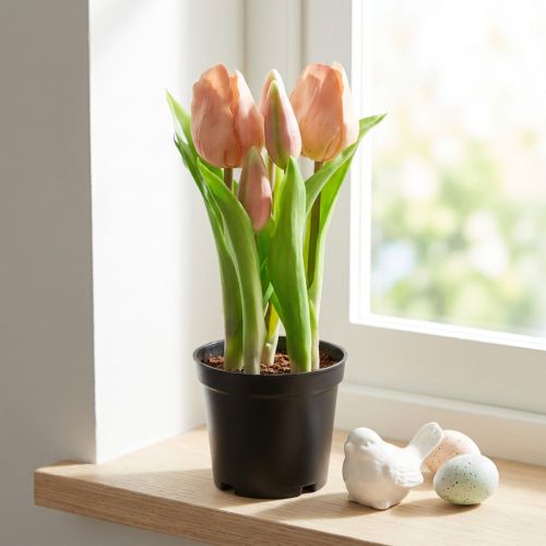 Dirbtinės tulpės vazone Tulpės Persikų dirbtinės gėlės 22cm | Floristik24.lt