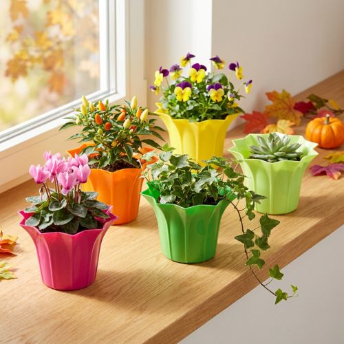 Plastikinis vazonas, spalvingas asorti. Ø9cm 10 vnt | Floristik24.lt