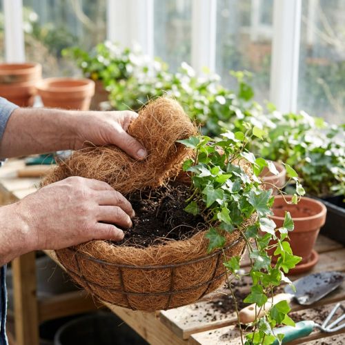Kokoso pluošto natūralus augalinis pluoštas natūralaus pluošto rankdarbių medžiaga 1 kg | Floristik24.lt