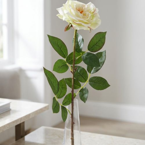 Dirbtinė rožė, dekoratyvinė rožė, šilkine gėlė kreminė balta, žalia L72cm Ø12cm | Floristik24.lt